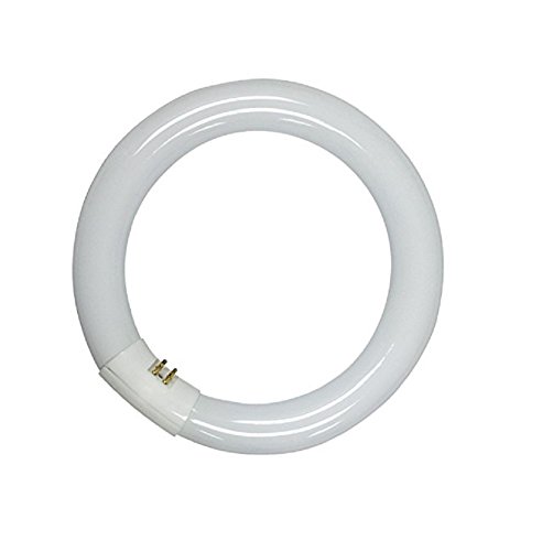SYNERGETIC TGX22 UVA 22W Round UV-Ring UV-Insektenfänger Sockel G10q 1St.