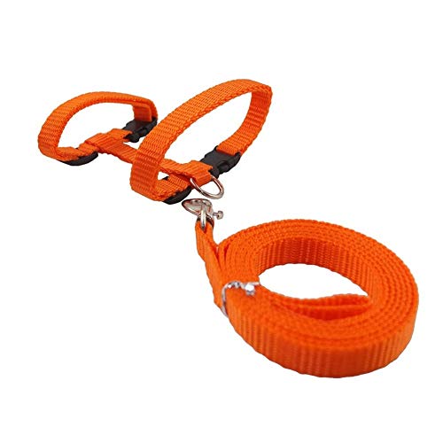 Ducomi Silvestro Pettorina Regolabile e Guinzaglio 105 cm in Nylon per Gatti, Conigli e Cuccioli - Pettorine Gatto Antifuga e Sicura - Imbracatura Passeggio Allungabile per Gattino, Coniglio (Orange)