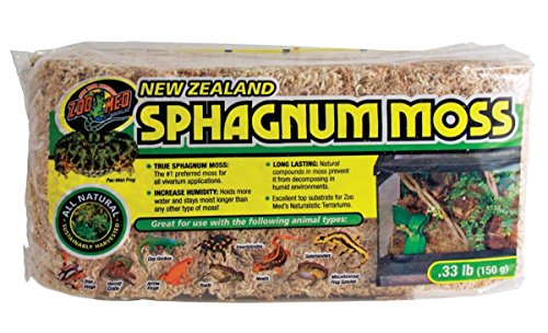 Zoomed New Zealand Sphagnum