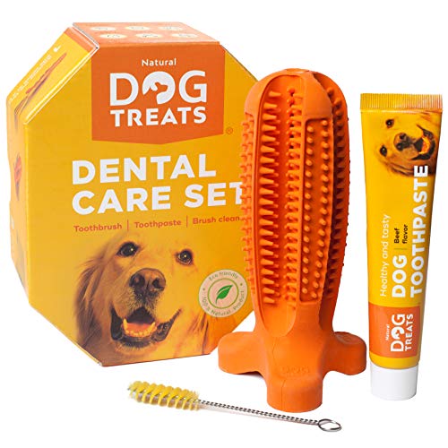 Natural Dog Treats Spazzolino de Denti e Dentifricio Set per Cani, Pulizia Dentale 100% Naturale Gomma Giocattolo da Masticare