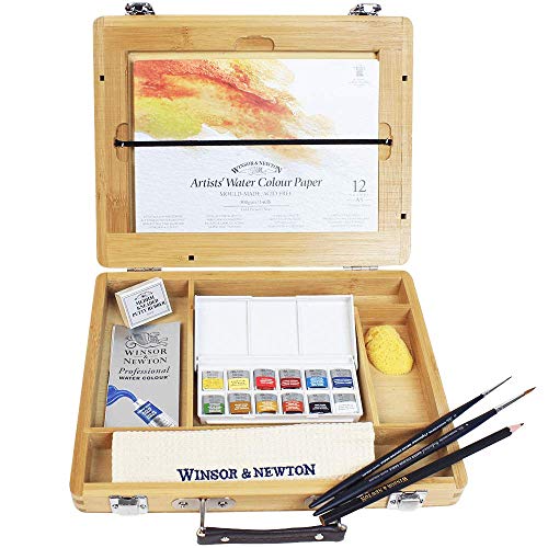 Winsor & Newton Professional Watercolor 12 mezzi godet Cassetta Bamboo