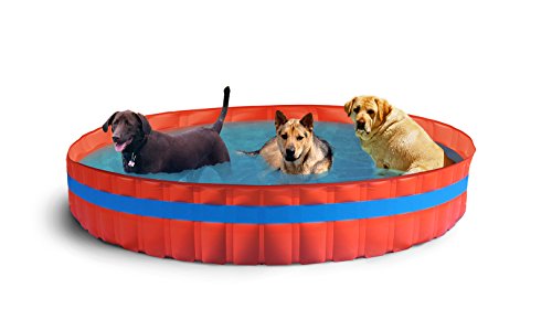 New Plast Piscina per Cani Ø 305 cm, Arancione, 305x305x46 cm