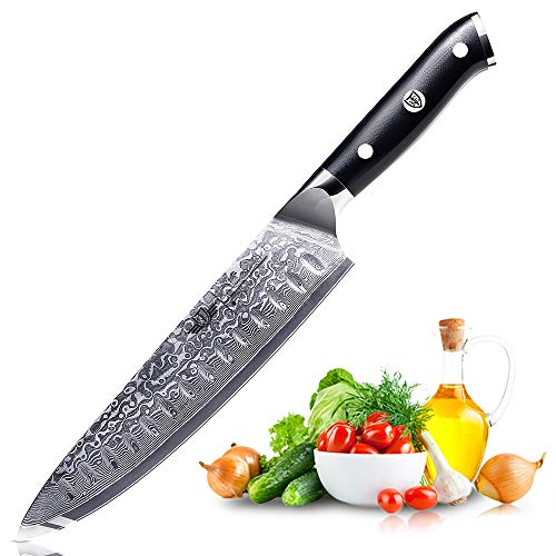 Kitchen Emperor Coltelli da Chef, Coltello da Cucina,coltelli Professionali Damasco 67 Strati con Impugnatura G10