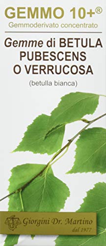 Dr. Giorgini Integratore Alimentare, Betulla Bianca Gemme Gemmoderivato Concentrato Liquido Analcoolico - 100 ml