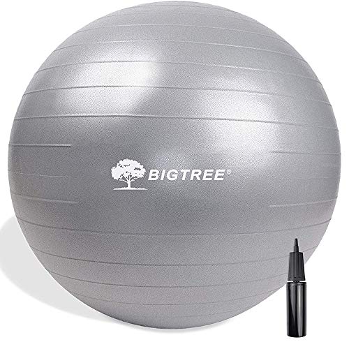 BIGTREE Anti-Burst Palla da Ginnastica Fitness Yoga Core, Argento, 55 cm
