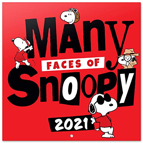Grupo Erik Calendario 2021 da Muro Snoopy, calendario peanuts 2021, calendario snoopy 2021, 12 mesi, include poster regalo, 30x30 cm