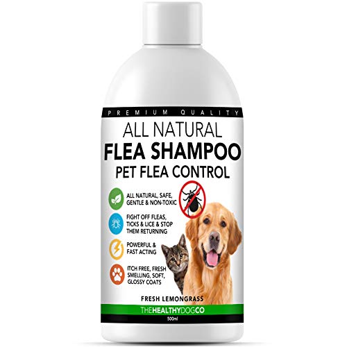 The Healthy Dog Co all Natural Shampoo Antipulci | Citronella | 500ml | Il Miglior Trattamento per Cani e Gatti | Formula Sicura ed Efficace | Elimina e Previeni Pulci, Zecche e Pidocchi
