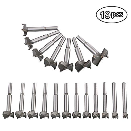 flintronic Legno Drill Bits Set, 19pcs Punte per Legno, Forstner Drill Bit Set 10-40mm Trivello in Carburo Ideali per Realizzare Fori nel Legno Ciechi o Passanti, con Separato Scatola