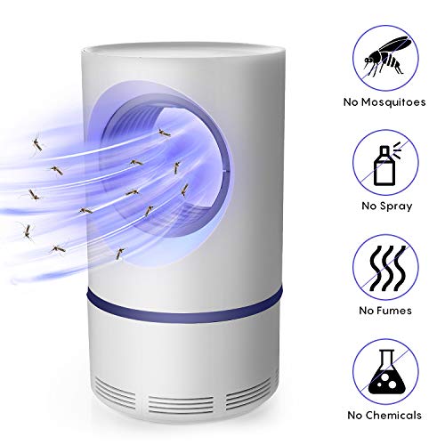 KATELUO Mosquito Lamp,Fotocatalizzatore Mute Elettrico USB Powered Insetto Pest Bug Catcher per la casa Indoor Appliance