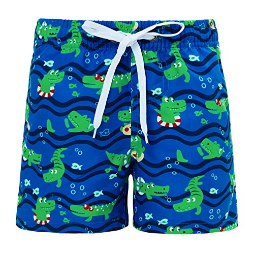 Fanient Dinosaur Boy Shorts Kids Fast Drying Summer Swim Trunks Surf Board Shorts