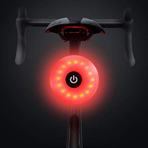 WASAGA Luce Posteriore per Bicicletta, LED USB Ricaricabile Impermeabile Avvertimento 5 modalità Luce Posteriore (Blu)