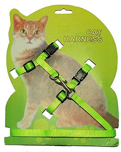 Ducomi Silvestro Pettorina Regolabile e Guinzaglio 105 cm in Nylon per Gatti, Conigli e Cuccioli - Pettorine Gatto Antifuga e Sicura - Imbracatura Passeggio Allungabile per Gattino, Coniglio (Green)