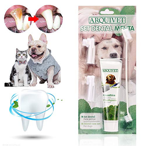 Dentifricio per Cani, Dog Toothpaste, Dog Toothbrush, Dentifricio Gatto, Kit per Cure odontoiatriche per Cani, Migliora l'igiene Orale Previene Le Malattie Gengivali e la Placca, i Denti Puliti