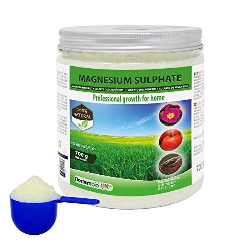 Nortembio Agro Solfato di Magnesio Naturale 700 g. Concime di Uso Universale. Migliora la Crescita di Colture, Giardini, Piante da Appartamento ed Esterno.