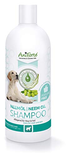 AniForte shampoo all'olio di neem vegetale 500ml shampoo per cani senza profumo - prodotto per la cura dei cani a base vegetale, delicato sulla pelle, curativo e facile da pettinare, odore gradevole