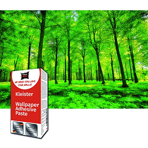 GREAT ART Photo Carta da Parati – Decorazioni pareti Pura natura Paesaggio Bosco Radura Estate Relax Sole Piante Flora Foresta Felci Ramo – 210 x 140 cm 5 pezzi e colla inclusa