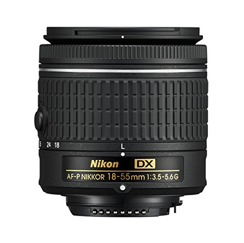 Nikon, obiettivo zoom AF-P DX Nikkor 18-55 mm f/3.5-5.6G