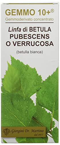 Dr. Giorgini Integratore Alimentare, Betulla Bianca Linfa Gemmoderivato Concentrato Liquido Analcoolico - 200 ml