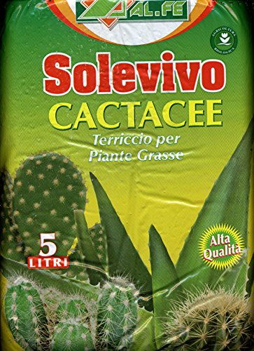 SOLEVIVO CACTACEE TERRICCIO PER PIANTE GRASSE DA 5 LT