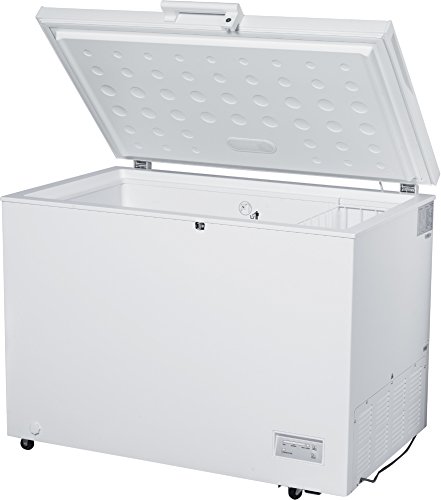 Congelatore orizzontale a libera installazione DCP-320HE 316L A+ Bianco Daya Home Appliances
