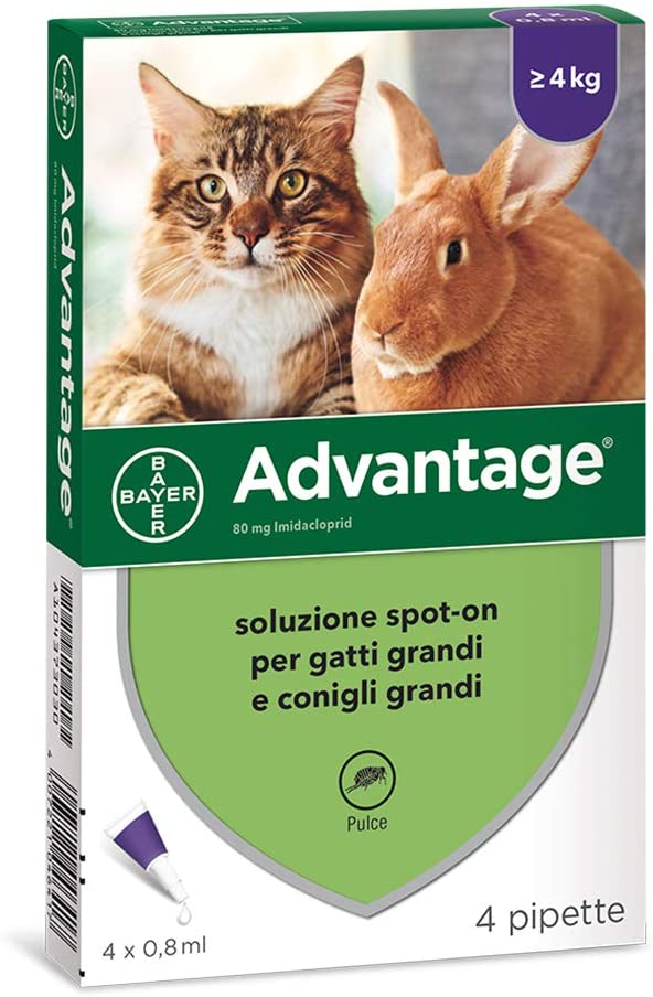 Advantage Soluzione Spot-On Gatti/Con. 4 Pipette, 0.8 ml