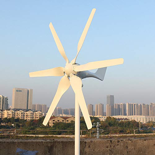 Generatore a turbina eolica con 6 pale, 800 W, 12 e 24 V, si regola liberamente, per tetto domestico