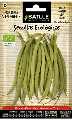 Semi bio - Busch Bean Slendenderette (24-60 semi - biologici)