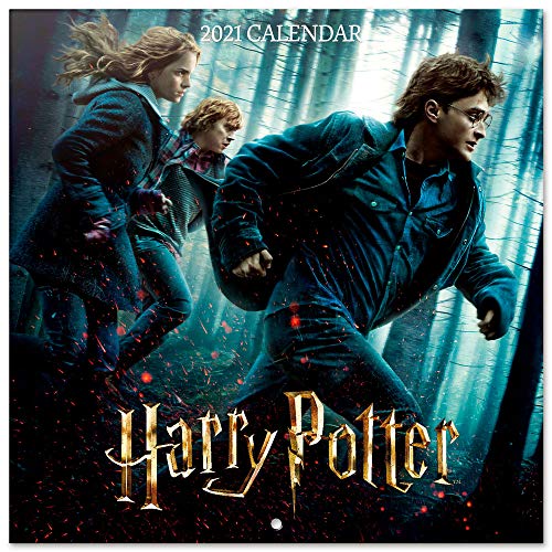 Grupo Erik CP21026 Calendario 2021 da Muro Harry Potter, calendario harry potter 2021, 16 mesi, 30 x 30 cm