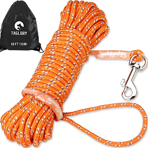 Taglory Lungo guinzaglio da addestramento per Cani 15 m, Nylon Resistente Guinzaglio a Corda, Utile per Controllo e Addestramento del Cane Piccolo, Arancione