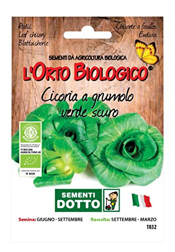 Sdd O.BIO_CICORIA GRUMOLO Verde Scuro Seme, 0.02x15.5x10.8 cm