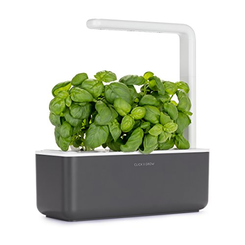 Giardino di aromatiche indoor Click & Grow Smart Garden 3 (Include capsule di semi di basilico), grigio scuro