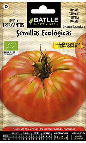 Battle - Semi Ecologici Pomodori Tres Cantos Giganti Rosa (85 Semi - Bio)