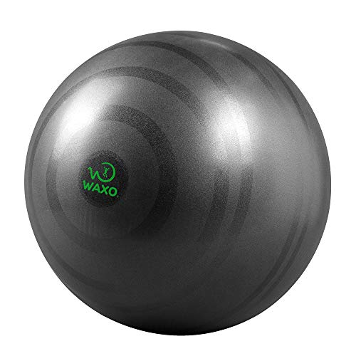 Waxo - Palla Fitness Anti-Scoppio 65 cm - Ebook Esercizi Incluso - Yoga Pilates Gravidanza Addominali - Allenamento Ufficio Casa Palestra - Pompa Inclusa