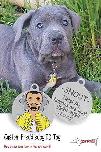 Freddiedog, targhetta identificativa per cani, in acciaio inox, Freddie Mercury nel mondo dei cani, personalizzabile
