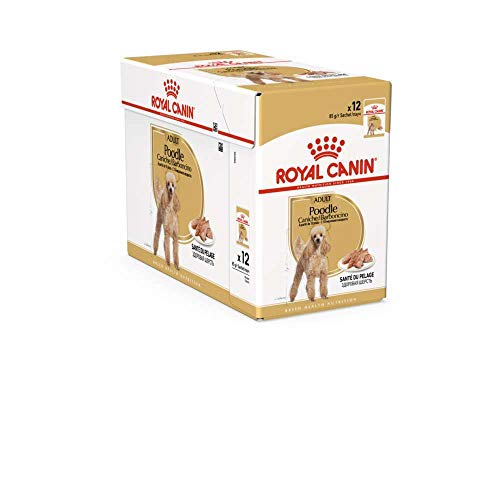 poodle bustine 12 x 85 gr per Cani Barboncino Umido Royal Canin