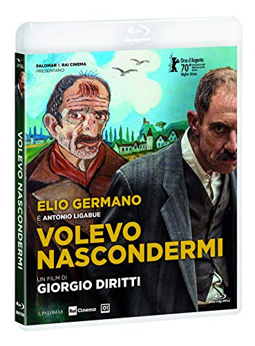 Volevo Nascondermi ( Blu Ray)