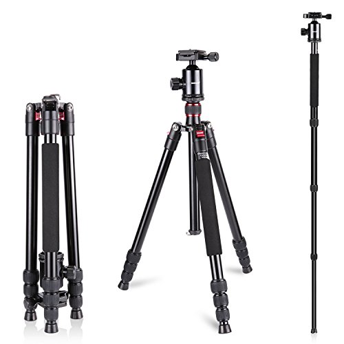 Neewer monopiede treppiede da viaggio in lega di alluminio 162 cm fotocamera con testa a sfera 360 gradi 1/10,2 cm piastra a innesto rapido e borsa per fotocamera DSLR video camcorder carica 12kg