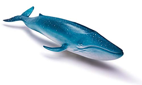RECUR 14 Giocattolo di Figura di Balena Blu per Bambini, Figurine di Balene di Vita oceanica realistiche Modello Replica Collezione Sea Life, Ottimo Regalo per Collezionisti