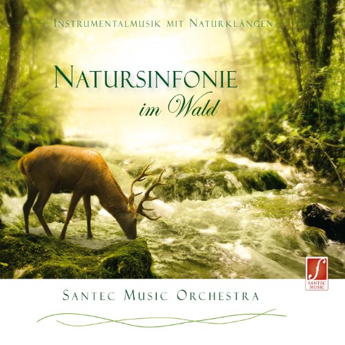 CD Natursinfonie im Wald (Sinfonia della natura nel bosco): musica strumentale per un sottofondo rilassante