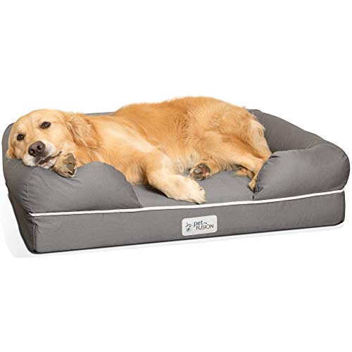 PetFusion Memory Foam Dog Bed per Cani di Taglia Media e Grande, Grigio