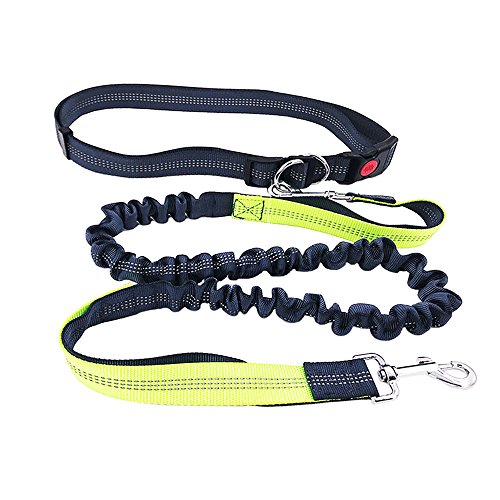 FULARR Guinzaglio a Mani Libere per Cani, Guinzaglio Jogging, Cintura in Vita Regolabile 70-130Cm(25.5-51In) e Guinzaglio Elastico 130-180Cm(51-70.5In), per Cani di Ogni Taglia Fino ai 50Kg(110Ib)