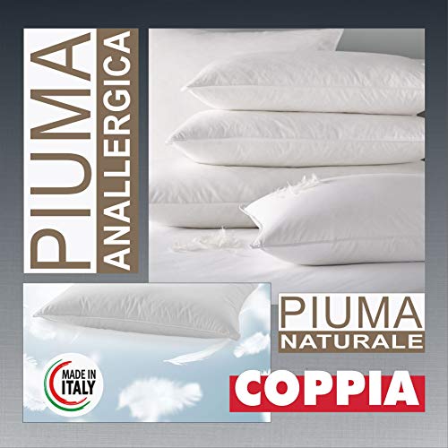 Evodreams Coppia Guanciali Piuma Naturale - Piuma D'Oca, Anatomico, Tessuto Puro Cotone a Tenuta Piuma, Prodotto Artigianale Fatto in Italia
