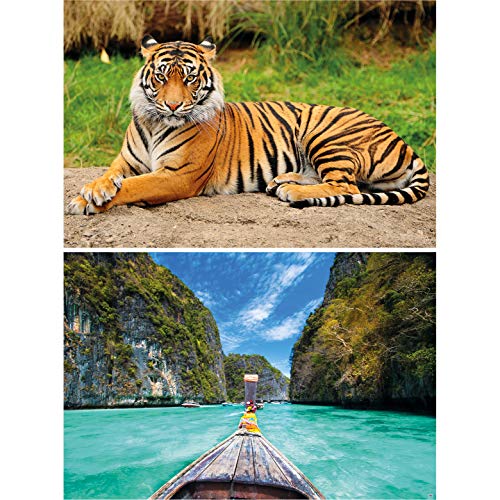 GREAT ART Set di 2 Poster XXL – Maestosa Tigre della Giungla – Baia Tropicale Gatto Selvatico Thailandia Longtail Boat Palme Mare Rocce Spiaggia Decorazione Murale (140 x 100cm)