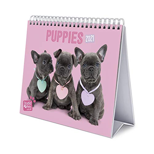 Grupo Erik Calendario da Tavolo 2021 Studio Pets Dogs, calendario da scrivania 2021, 20x18 cm