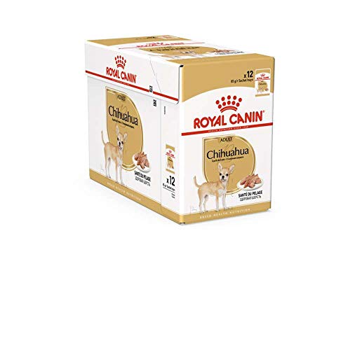 ROYAL CANIN Cibo Umido per Cane Adulto Chihuahua - 1020 gr