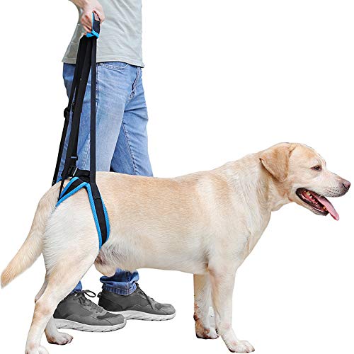 Rantow Imbracatura Regolabile per Cani per lesioni Artrite Restrizioni alle articolazioni delle Zampe Posteriori deboli