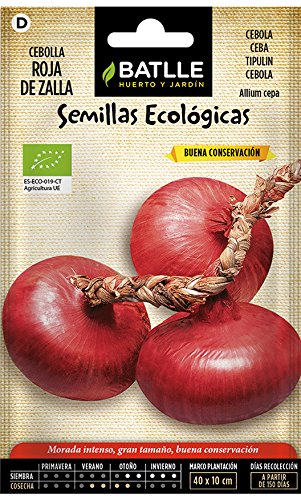 Semi ecologici orticole - Cipolla Rossa di Zalla - Eco - Batlle