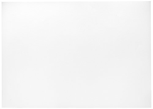 Herlitz 227108 cartoncino 50 x 70 cm, 10 pezzi, colore bianco bianco