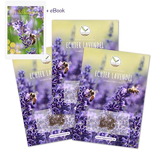 900x Semi di lavanda ad alto tasso di germinazione - Versatile pianta medicinale e ideale per api e farfalle (incl. eBook GRATUITO)