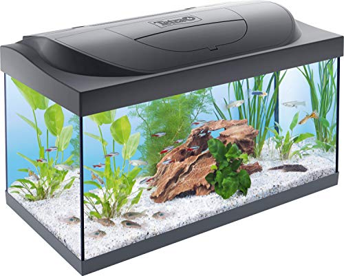 Tetra Starter Line Acquario LED 54 L - Set Completo con Illuminazione a LED, Acquario Stabile per Principianti con Tecnologia, Cibo e Prodotti per la Cura, Nero